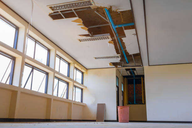 Best Water damage contractors near me  in Jeannette, PA