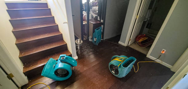 Best 24-hour water damage restoration  in Jeannette, PA