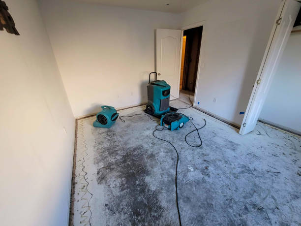 Best Commercial water damage restoration  in Jeannette, PA