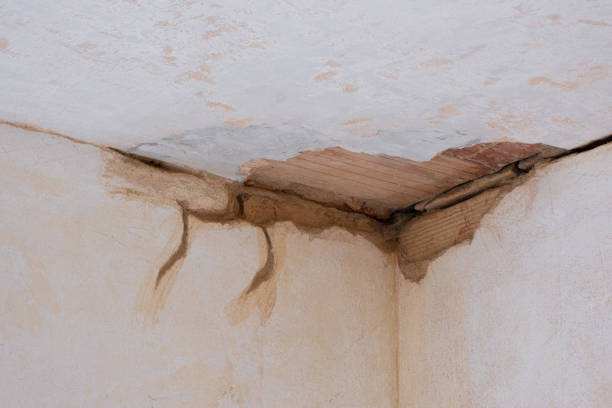  Jeannette, PA Water damage restoration Pros