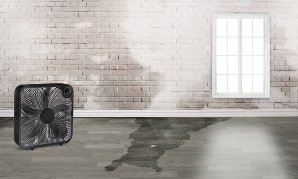 Best Residential water damage restoration  in Jeannette, PA