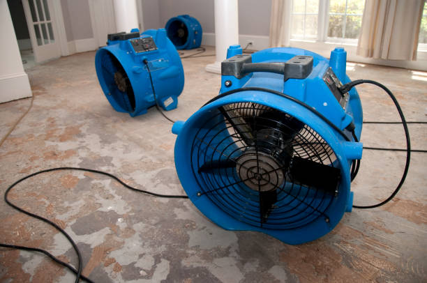 Best Professional water damage repair  in Jeannette, PA