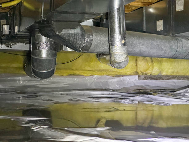 Best Basement water damage restoration  in Jeannette, PA