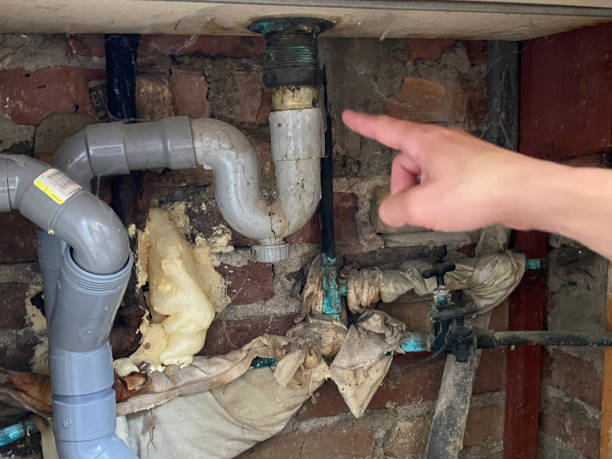 Best Professional water damage repair  in Jeannette, PA