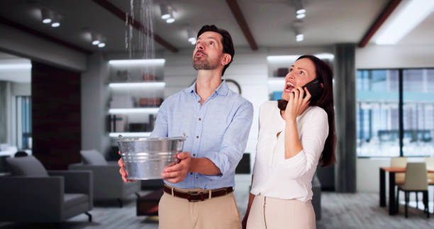 Best Ceiling water damage repair  in Jeannette, PA