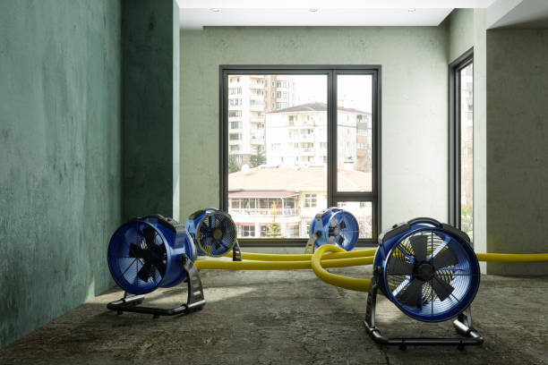 Best Water damage restoration near me  in Jeannette, PA